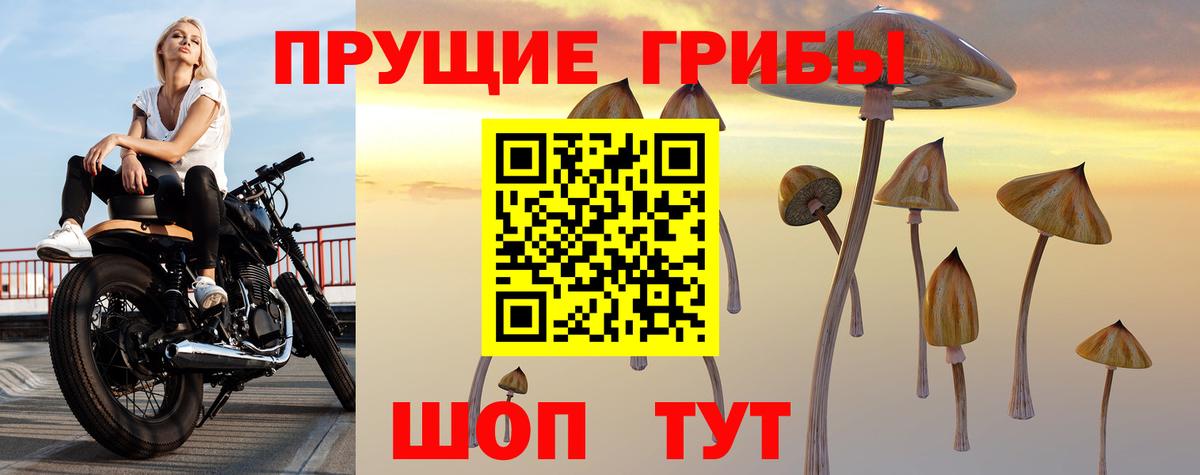 Галлюциногенные грибы прущие грибы Артём