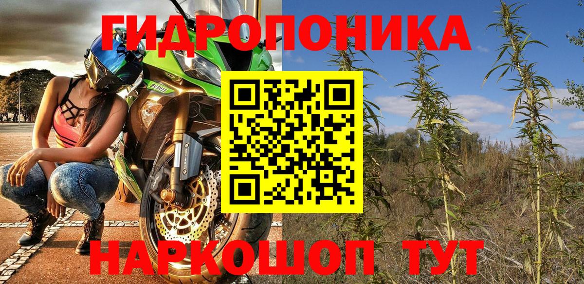 Каннабис сатива  Бошки Шишки THC 21%  Вход с VPN  Каннабис OG Kush  Артём  Каннабис VHQ 